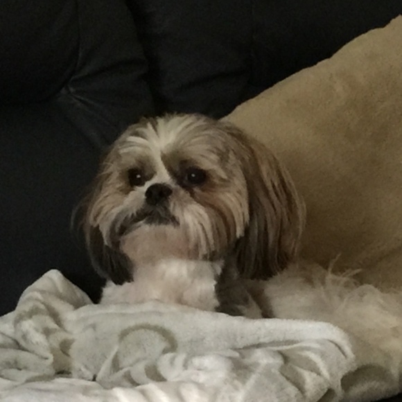 Meet your Posher, Bethann - Picture 1 of 1